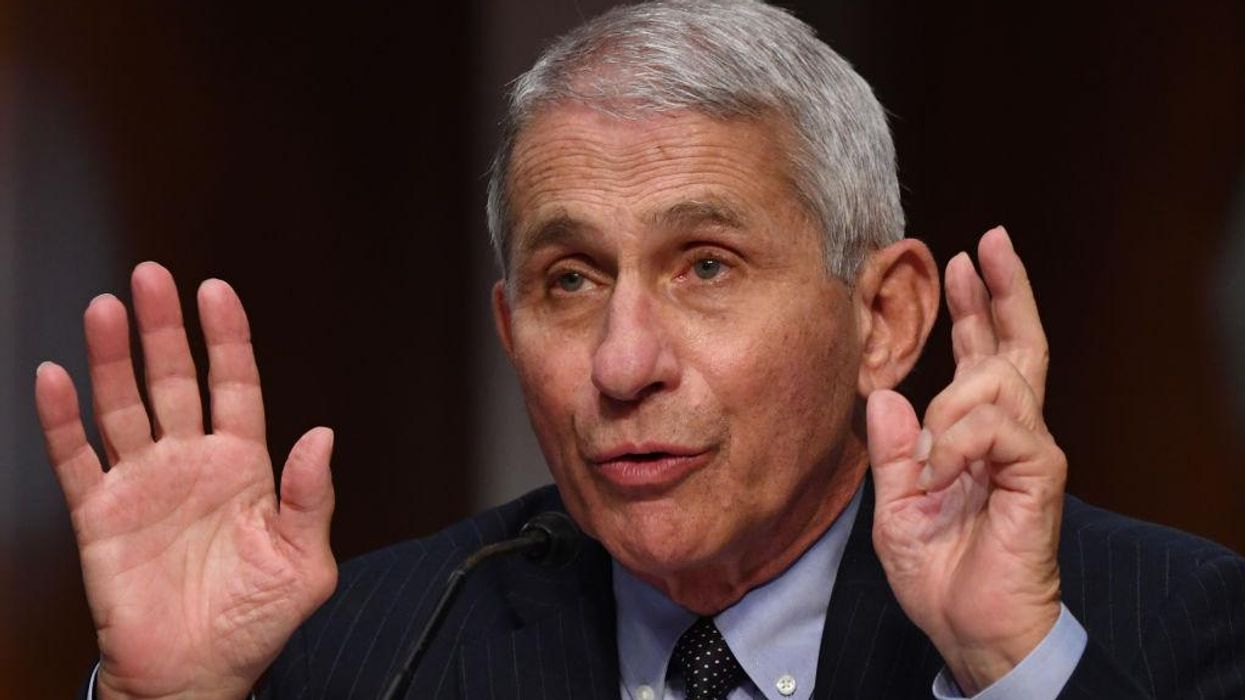 Dr. Fauci admits new lockdowns 'not out of the question' under Biden presidency