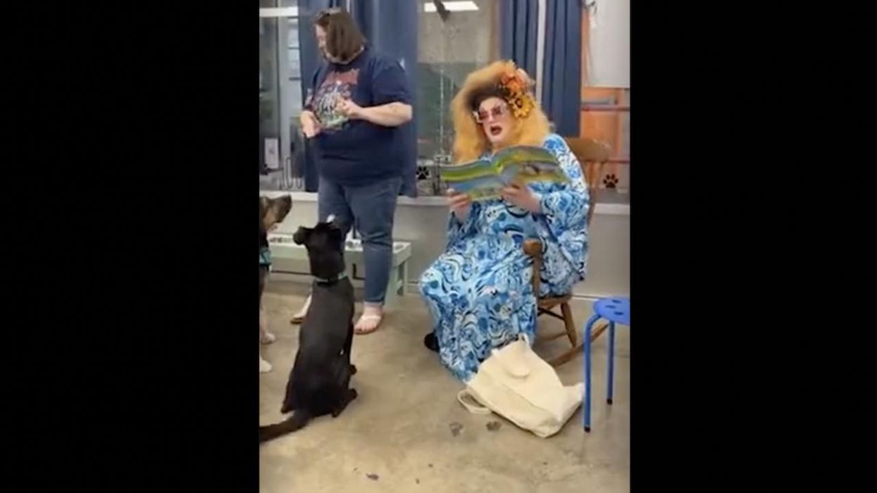 Drag queen who's a middle school teacher adds sexual innuendo during Drag Queen Story Time at dog shelter: 'Everybody loves a big bone'
