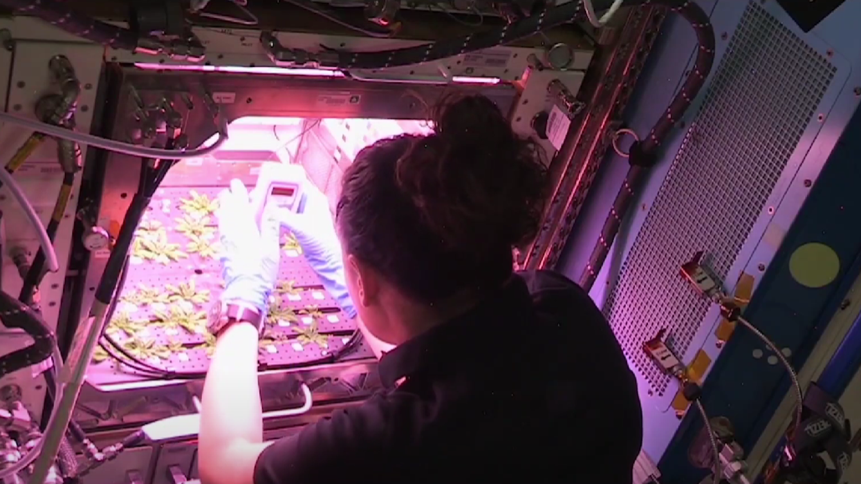 Drug startup aims to treat genetic blindness by developing cures in space