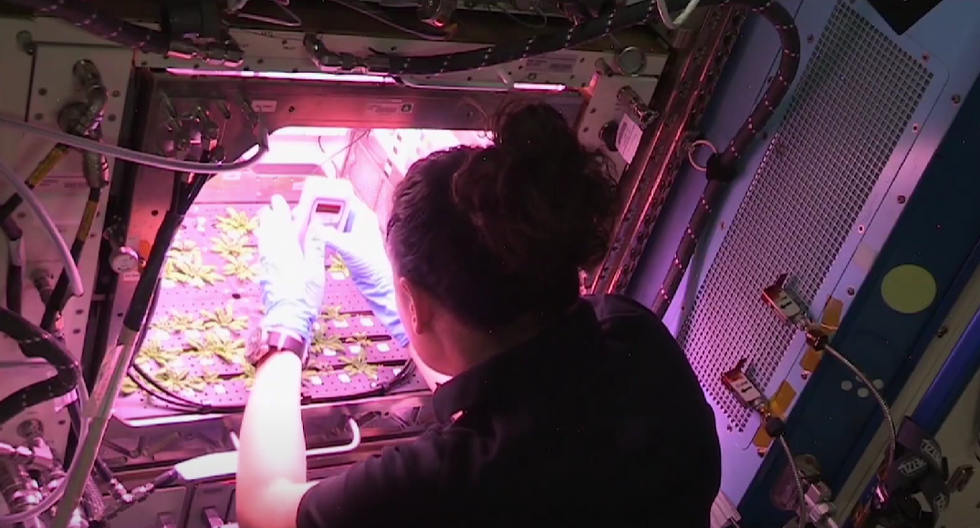 Drug startup aims to treat genetic blindness by developing cures in space