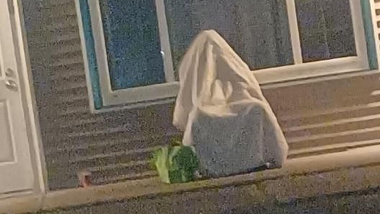 Drunk man tried to hide under white blanket to evade arrest. It didn't work.