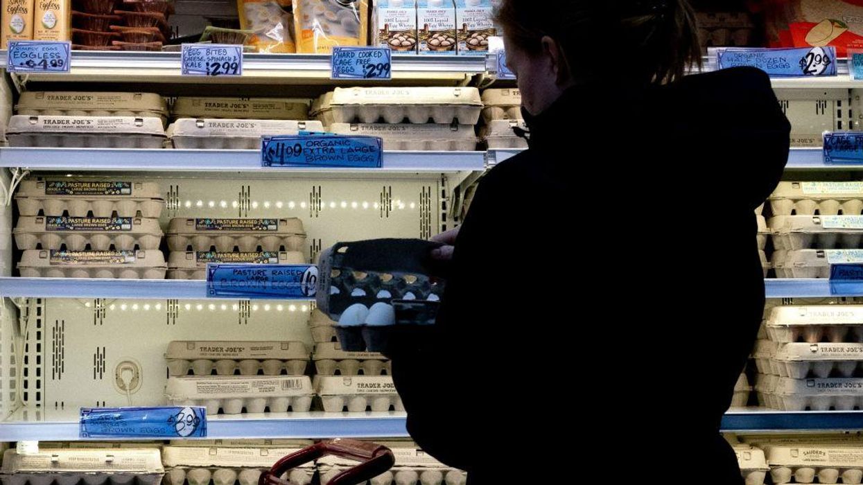Egg smuggling into the US increases, border authorities report amid soaring inflation