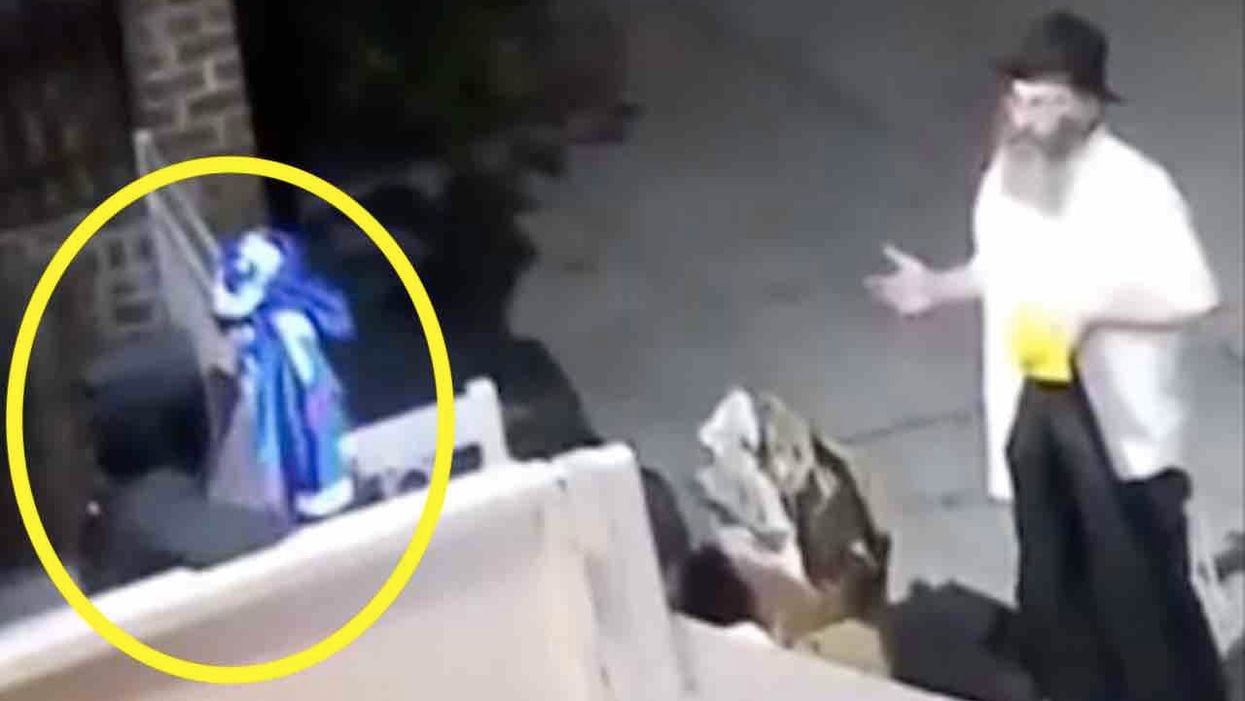 Elderly Jewish man confronts vandal for ripping down Trump flag. But the crook just comes back and destroys another one.