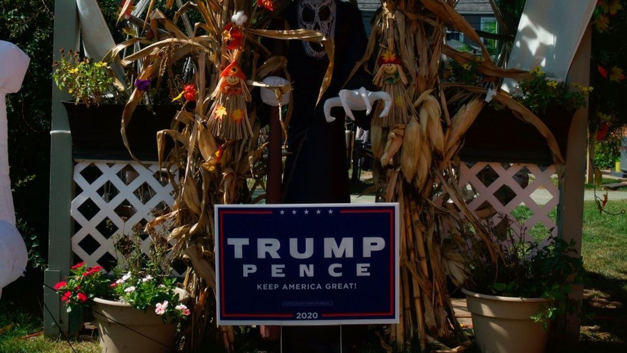 Elections chairman resigns after removing and defacing Trump signs