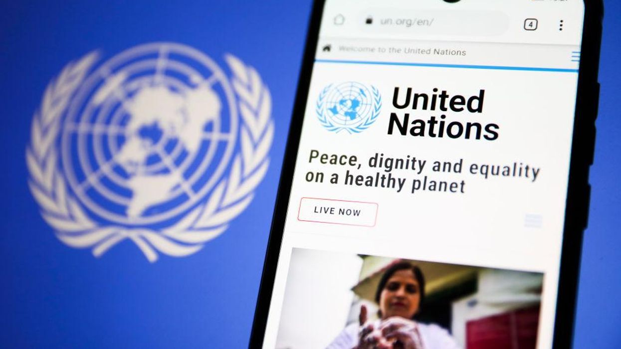 Electric cars and renewables are racist, says UN official