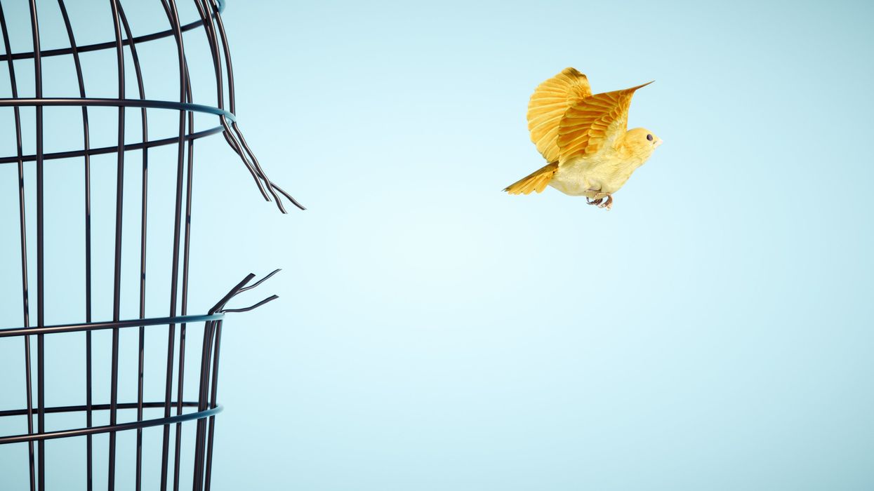 Elite aspirants, your future is at stake: Pick a side