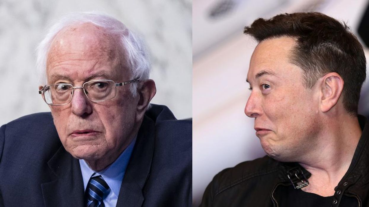 Elon Musk slaps back at Bernie Sanders for calling his wealth 'immoral.' But the socialist senator wasn't done demonizing him.