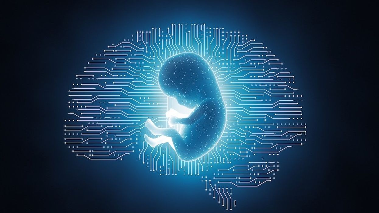 Embryos are the new fuel for AI. Is this the future we want?