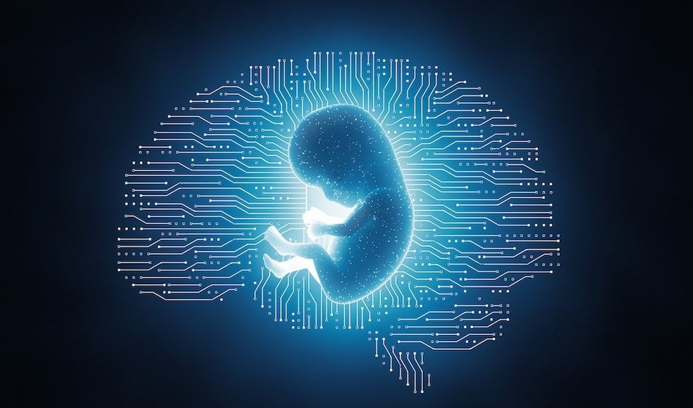 Embryos are the new fuel for AI. Is this the future we want?