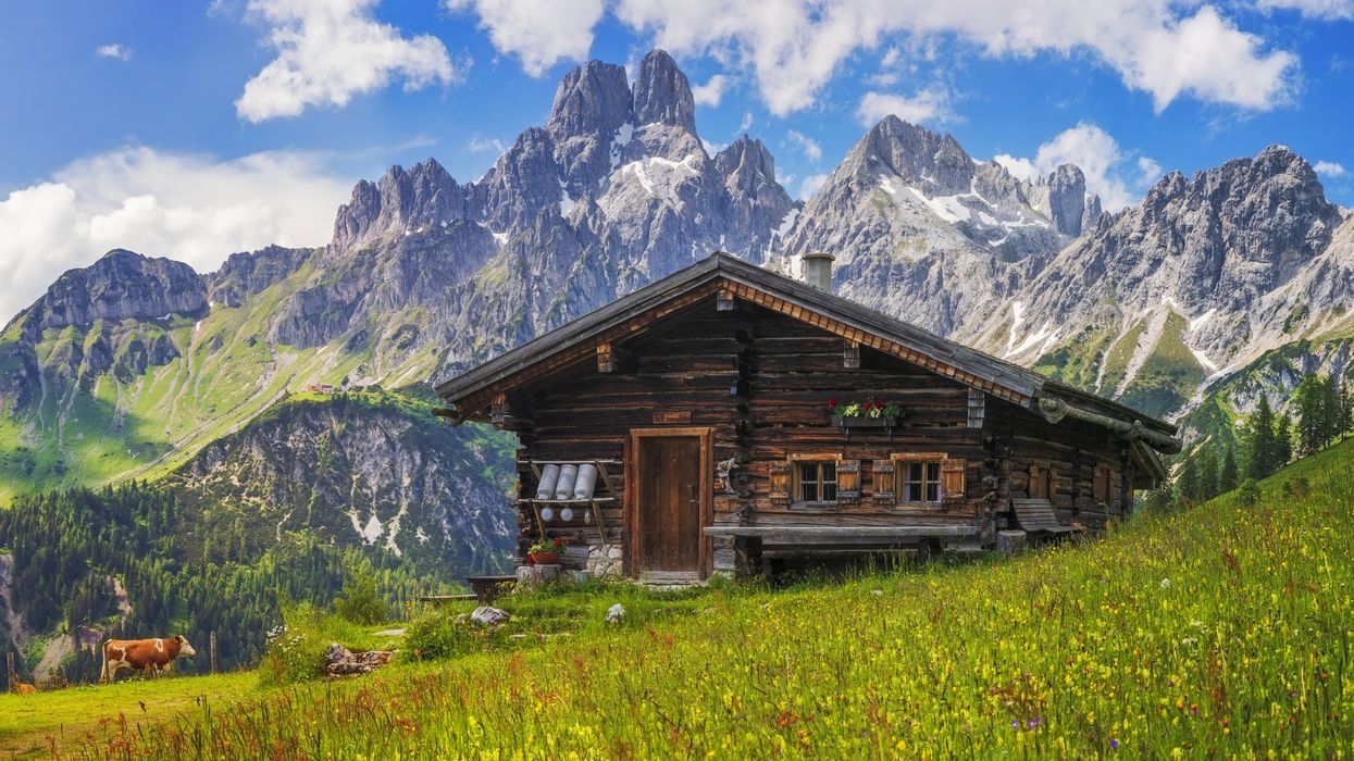 Escaping the digital rat race for a simple life