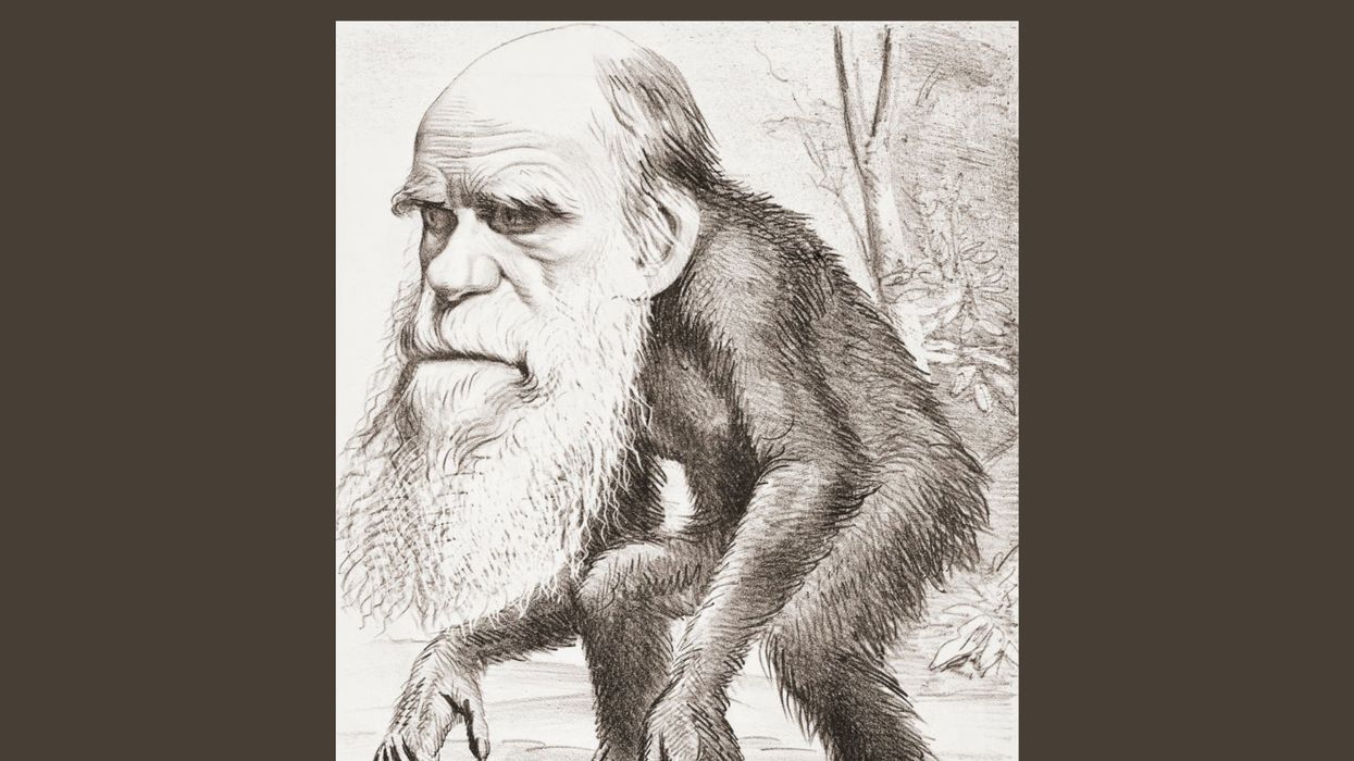 Evolution: A fairy tale for progressives
