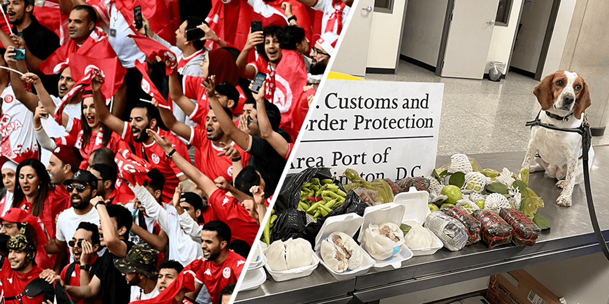 EXCLUSIVE: CBP dogs on high alert as World Cup-destined third-worlders smuggle in rotten souvenirs