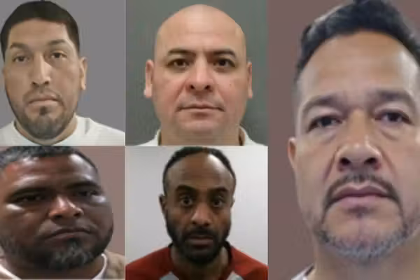Exclusive: ICE arrests illegal aliens convicted of child sex crime, forcible sexual assault, and drug trafficking