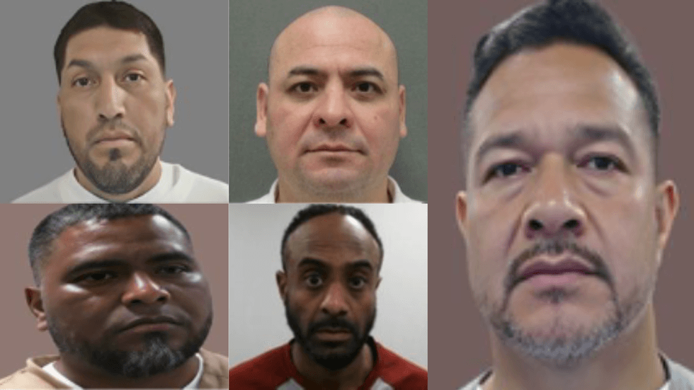 Exclusive: ICE arrests illegal aliens convicted of child sex crime, forcible sexual assault, and drug trafficking