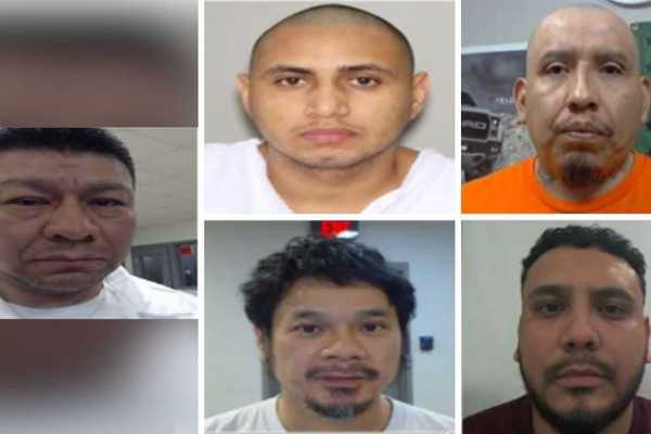 Exclusive: ICE arrests pedophiles and other convicted illegal alien criminals