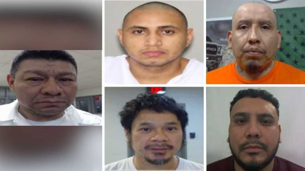 ICE arrests child-diddlers and ecstasy traffickers while Dems try to 'score brownie points,' DHS says