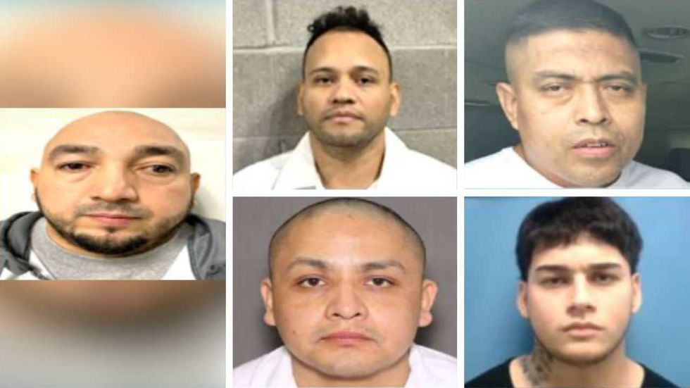 Exclusive: ICE rounds up pedophiles, rapist, other illegal offenders — ‘some of the worst crimes imaginable’