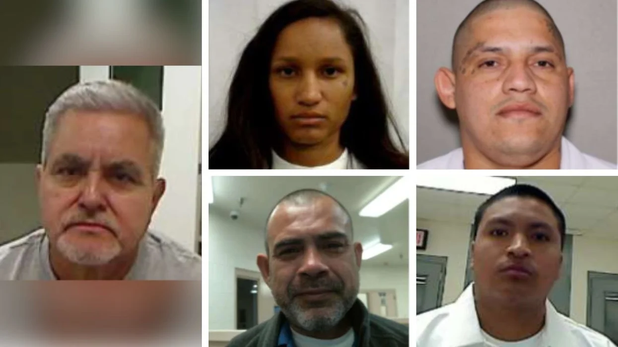 Exclusive: ICE rounds up violent criminal illegal aliens, including a convicted rapist
