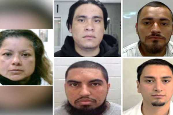 Exclusive: ICE takes down criminal illegal aliens convicted of child abuse, rape, other ‘reprehensible crimes’