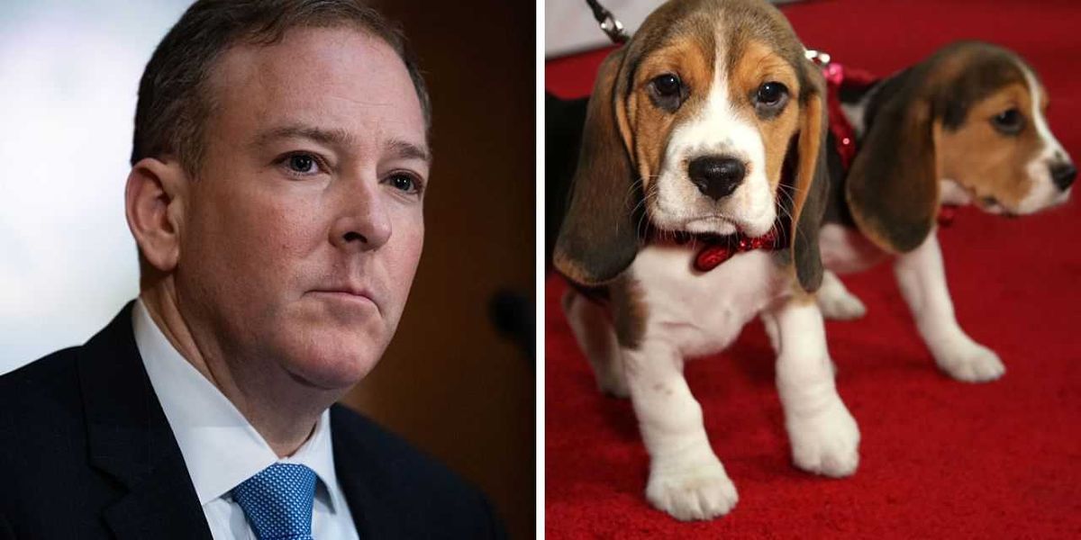 Exclusive: Trump’s EPA takes major step to end animal testing after Fauci’s cruel beagle experiments