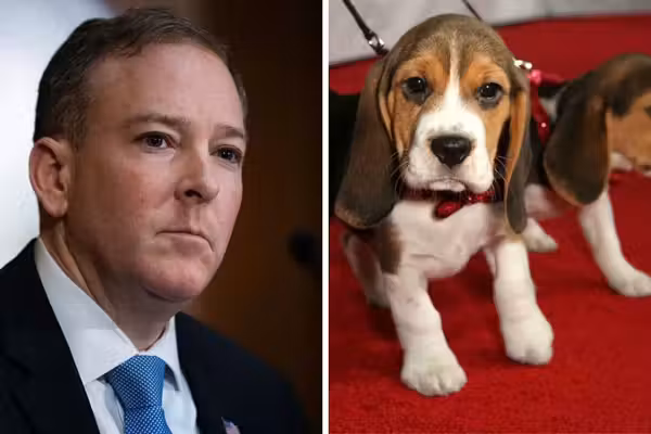Exclusive: Trump’s EPA takes major step to end animal testing after Fauci’s cruel beagle experiments