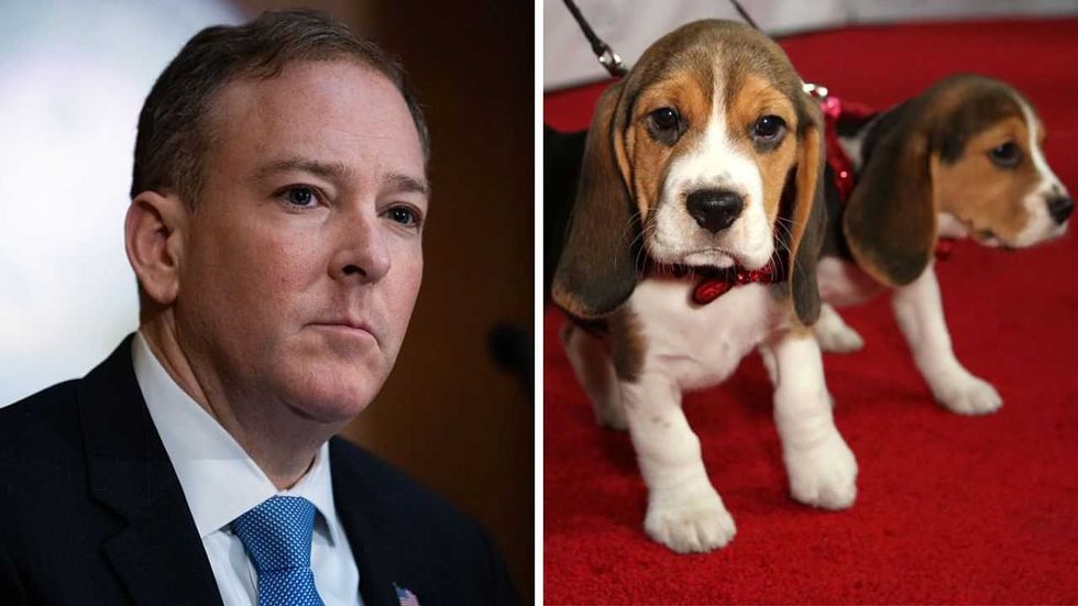 Exclusive: Trump’s EPA takes major step to end animal testing after Fauci’s cruel beagle experiments