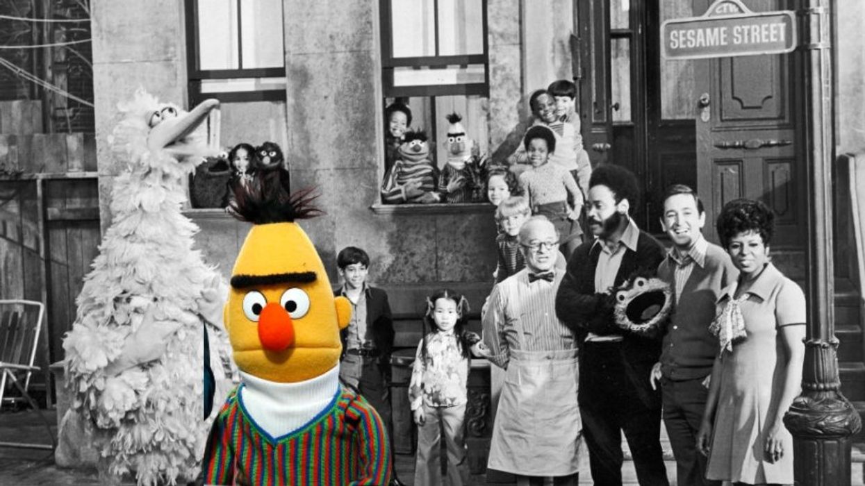 Exile on Sesame Street: The terrible glamour of white guilt