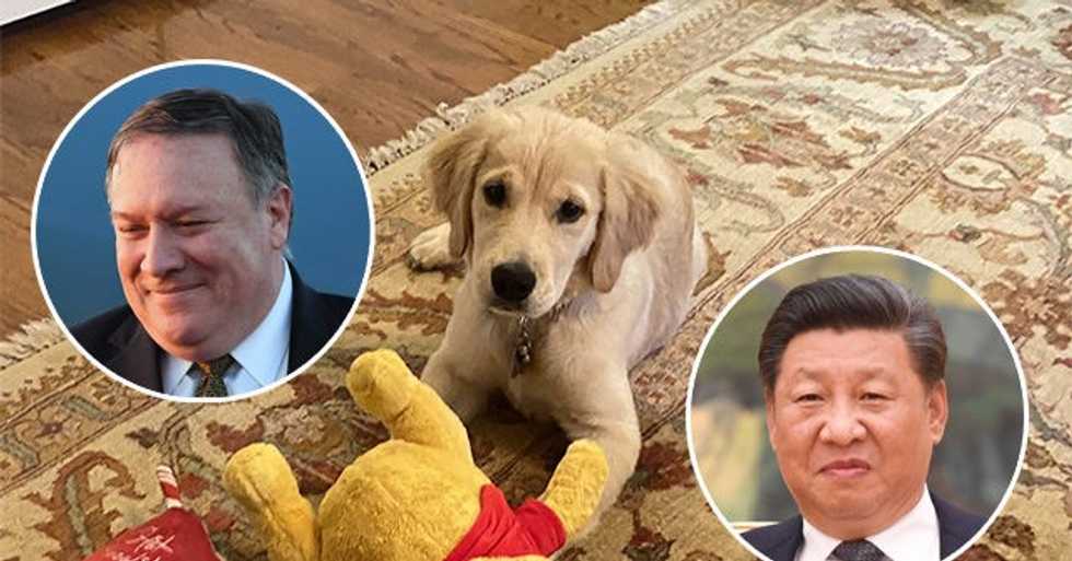 Mike Pompeo Breaks the Internet with Photo of His Dog and Winnie the Pooh Chew Toy