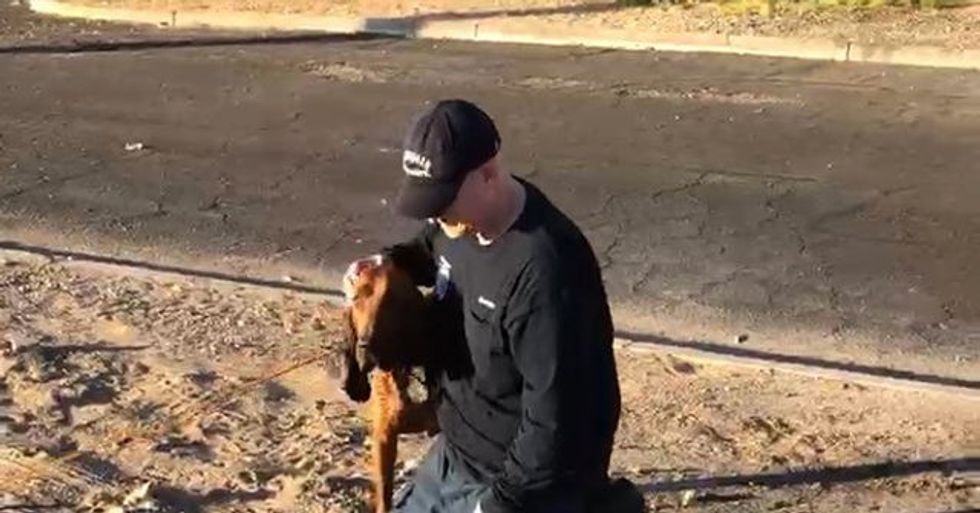 VIDEO: Phoenix police save drowning dog in canal