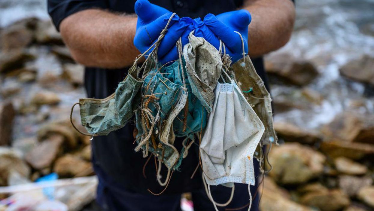 Face masks are polluting the world's beaches and oceans, pose potential health risks to humans: 'Really concerning'