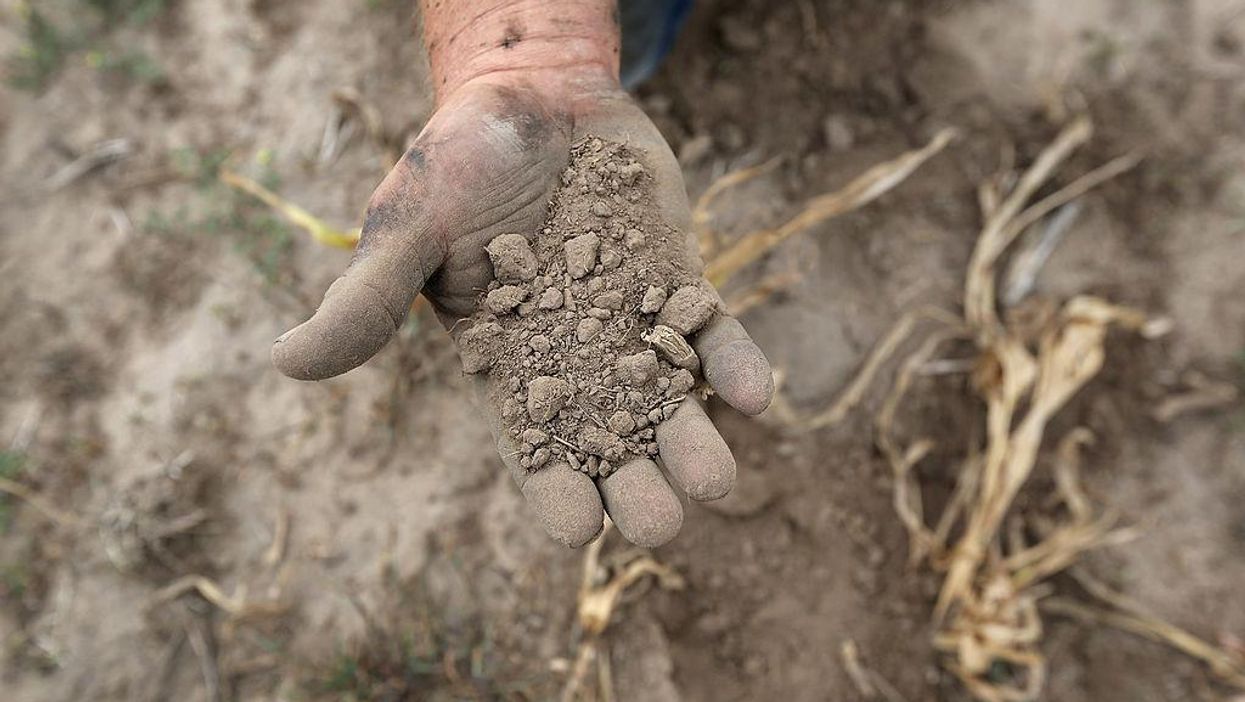 'FAMINE by the end of the year': Why food supplies could be in MAJOR danger