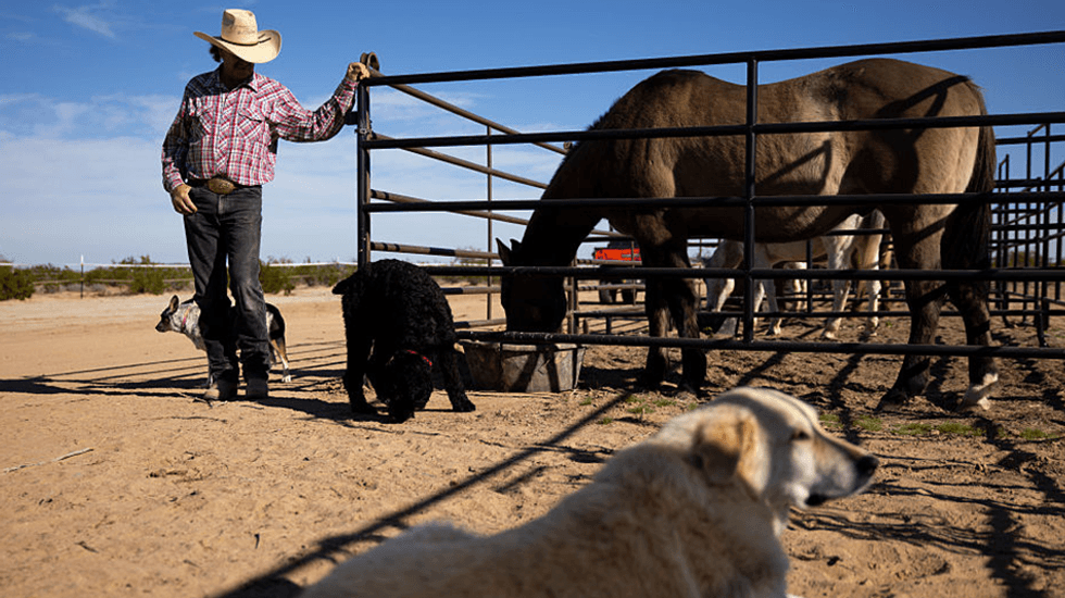 Farmers' Almanac rescued from extinction, keeping 200-year tradition alive: 'It felt wrong'