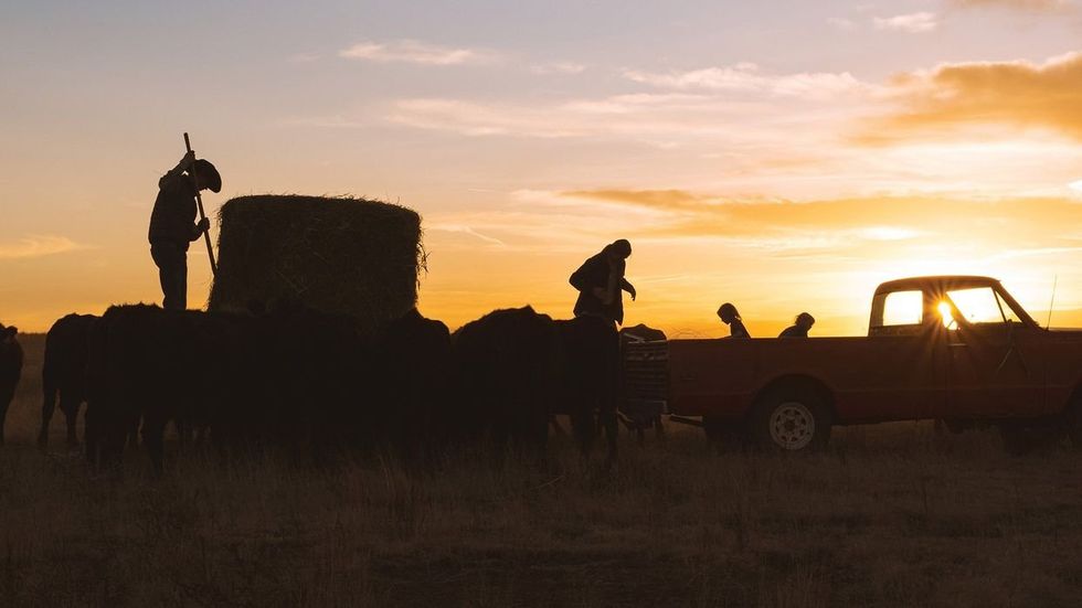 Farmers labor as the sun sets.