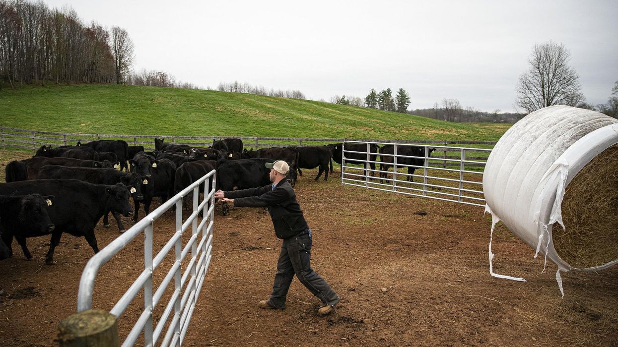 Federal judge halts USDA program that bans white farmers saying lawsuit against it could be successful