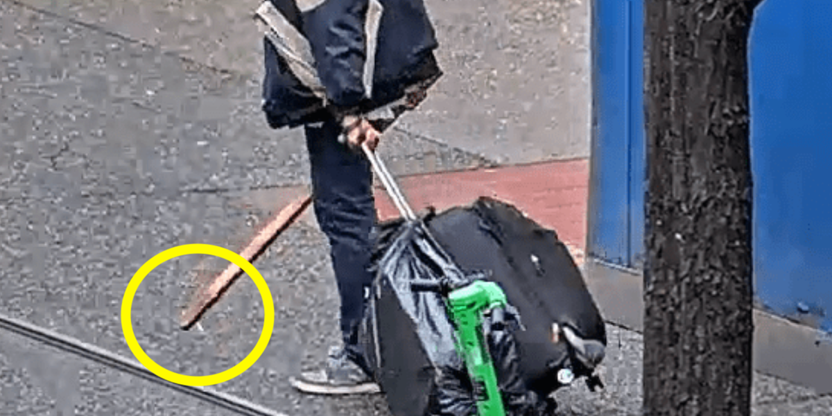 Felon previously convicted for assault accused of swinging stick with metal screw on the end, bashing elderly woman in face 2 The New Atlantis