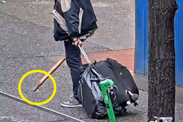 Felon previously convicted for assault accused of swinging stick with metal screw on the end, bashing elderly woman in face