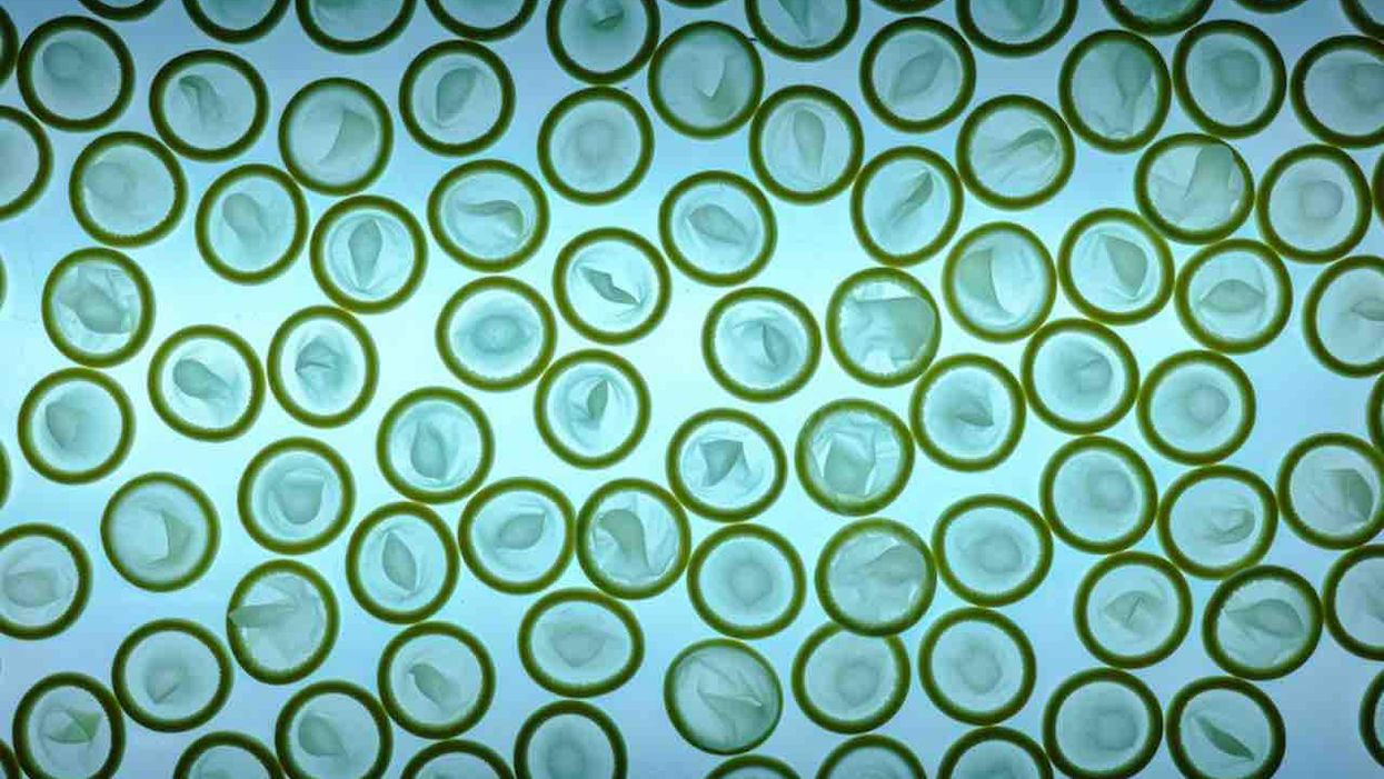 Fifth graders will have access to condoms in Chicago elementary schools next month. One parent reacts: 'Oh my God ... they are kids.'