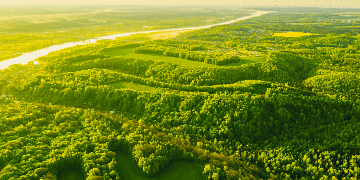 EPA to Repeal Carbon Emission Restrictions, Saving Hundreds of Billions
