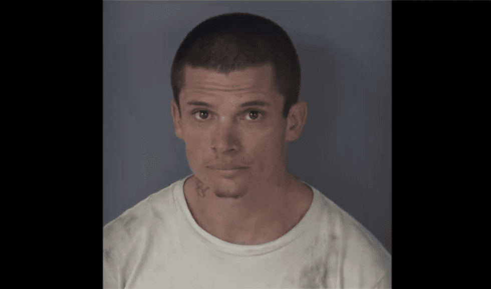 Florida crook accused of ditching stolen car, hiding from cops in home's garage. But homeowner has a gun.