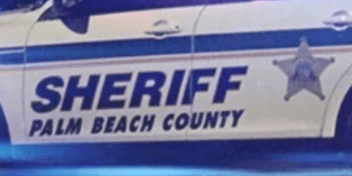 Florida deputy accuses driver of 'holding a phone' with her 'right hand.' But there's a big problem.