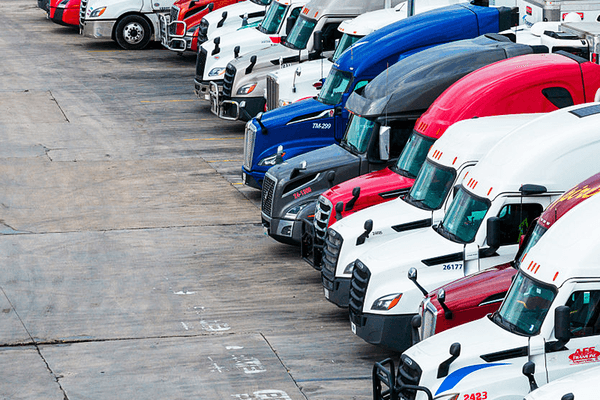 Florida police pull dozens of immigrant truck drivers off roads: 'People with no names'