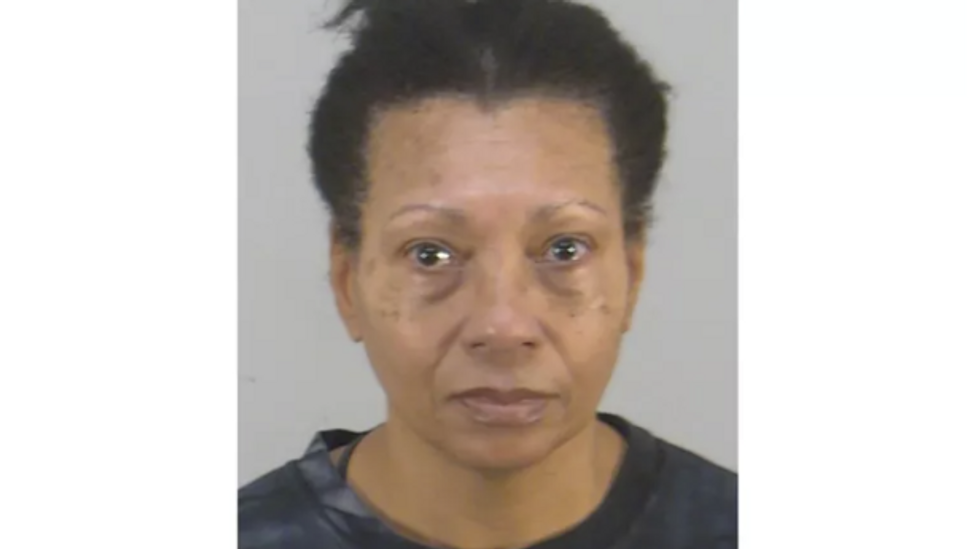 Florida woman couldn't take her dog on flight — so she drowned animal in airport bathroom: Police