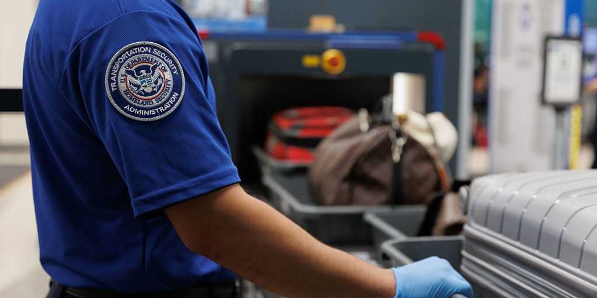 Fly home or get caught: Trump’s TSA feeding ICE names before takeoff to nab illegal aliens 'without apology'