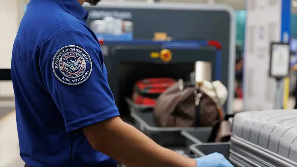 Fly home or get caught: Trump’s TSA feeding ICE names before takeoff to nab illegal aliens 'without apology'
