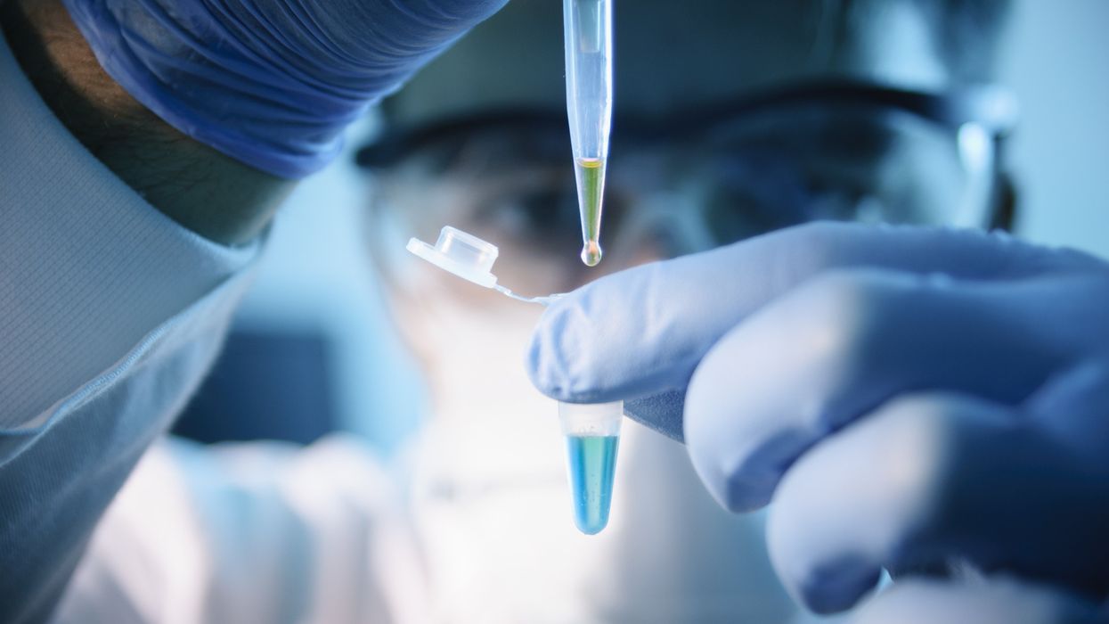 Following Gay's resignation for alleged plagiarism, doctors with Harvard Medical School accused of falsifying research data