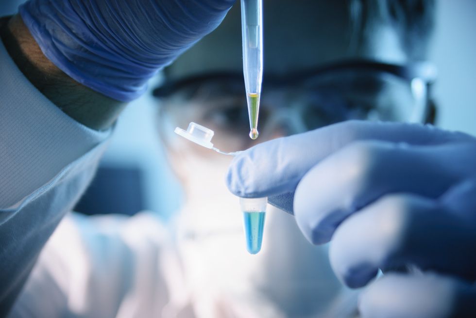 Following Gay's resignation for alleged plagiarism‚ doctors with Harvard Medical School accused of falsifying research data