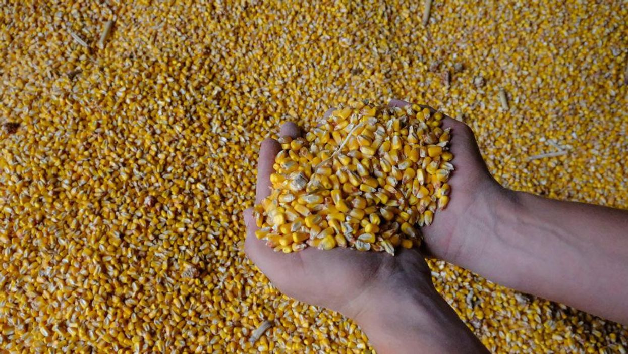 Food and fuel prices likely to remain high for the foreseeable future