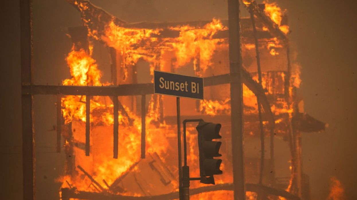 Former LA sheriff blames 'poisonous ideology' for catastrophic fires