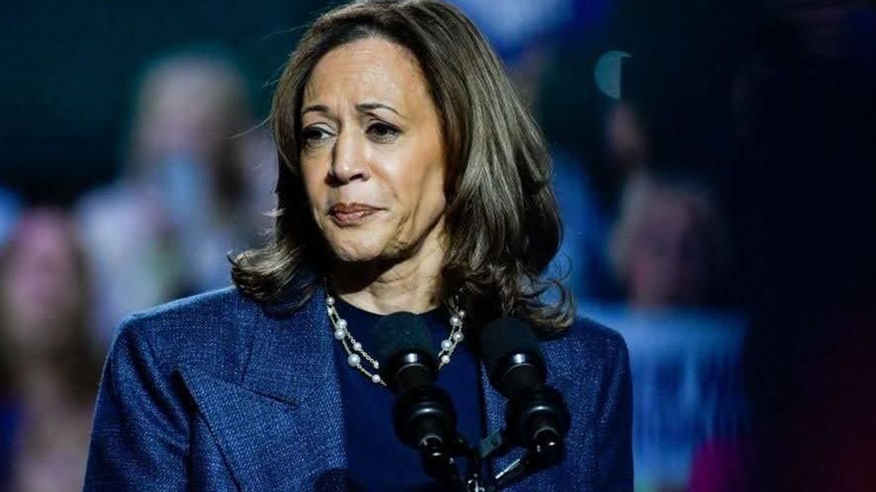 Former Obama campaign manager sounds the alarm that early voting numbers are 'scary' for Kamala, Democrats are 'panicking'