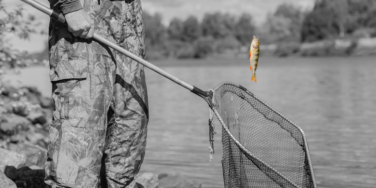 From landing whales to snatching minnows: Steve Baker’s arrest disgraces the FBI | Blaze Media